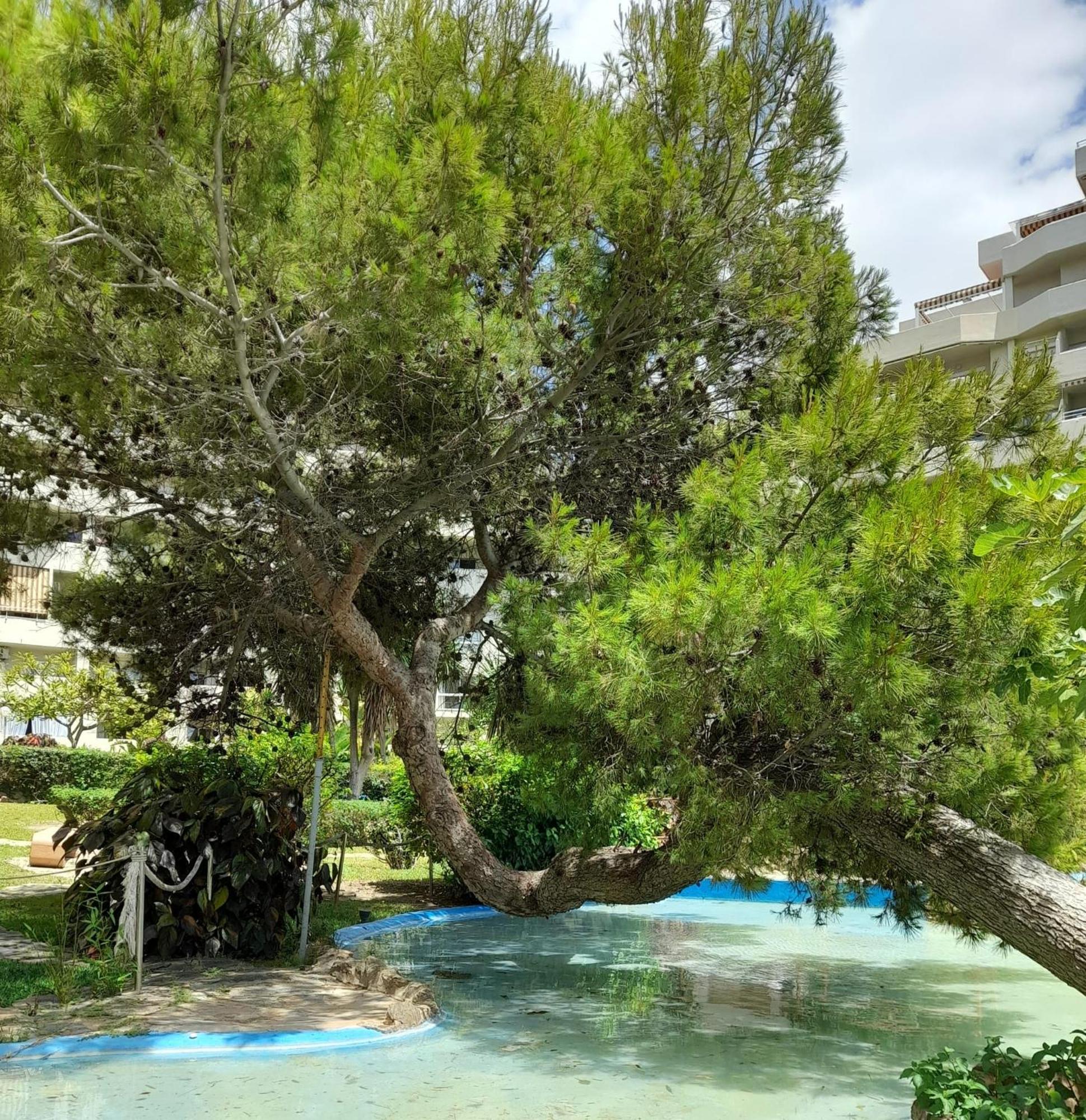 Benalbeach R&R Suite Benalmádena Εξωτερικό φωτογραφία